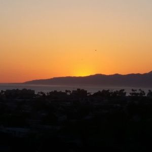 Meet your Posher, Andy